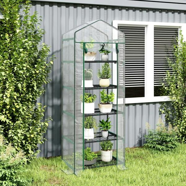 Mini greenhouse with clear cover and green frame, five-tier shelves with potted plants