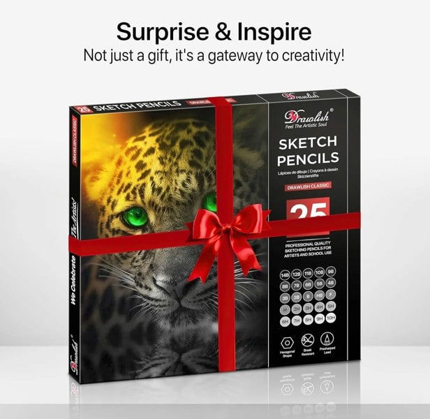 Drawlish Drawing Pencils for Artists - 25 Grades (14B to 10H) Sketching Pencils Set