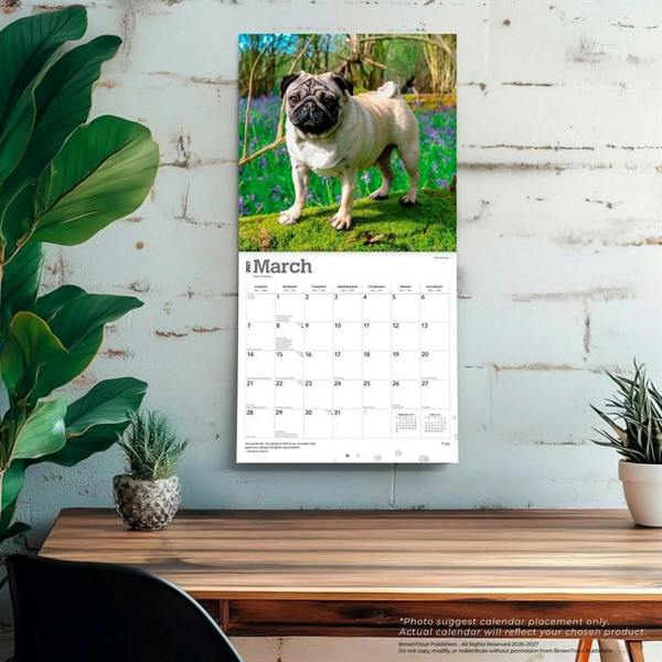 Pugs Calendar 2027, Wall Calendars, Month To View, Dogs, Gift