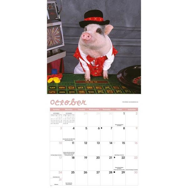 Playful Pigs Calendar 2027, Wall Calendars, Month To View, Animals, Gift