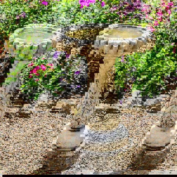 Daisy Design Birdbath with flower-shaped Basin