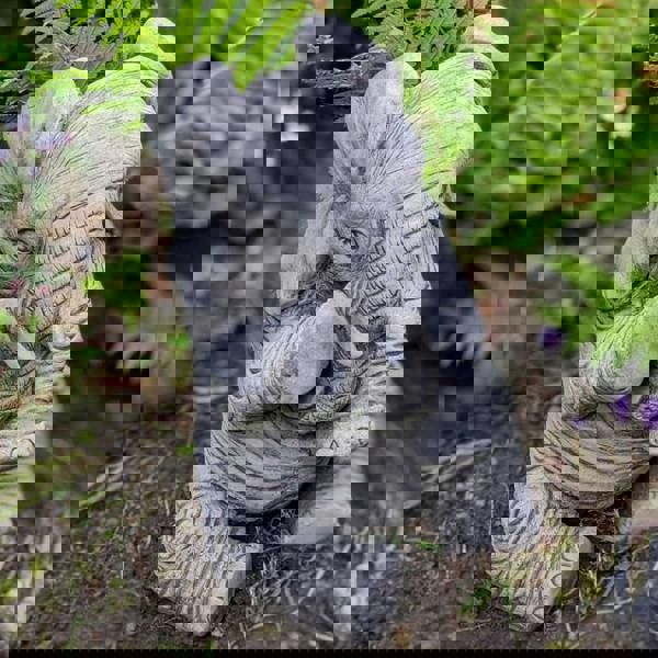 Lovely Trunk-Down Large Elephant Garden Ornament