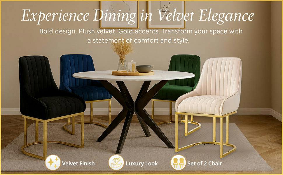HYGRAD BUILT TO SURVIVE Luxe Velvet Dining Chairs with Gold Legs – Set of 2 | HYGRAD®