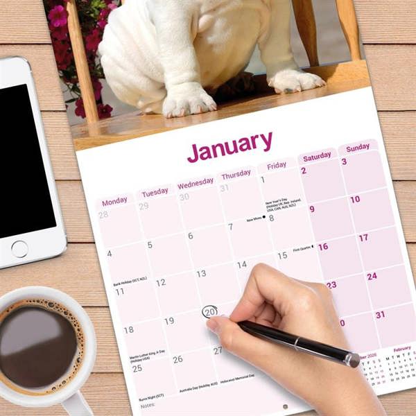 Bulldog Calendar 2027, Wall Calendars, Month To View, Dogs, Gift