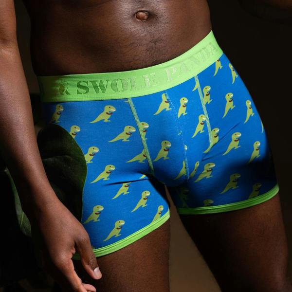 SWOLE PANDA T-Rex Bamboo Boxer Brief in Blue/green