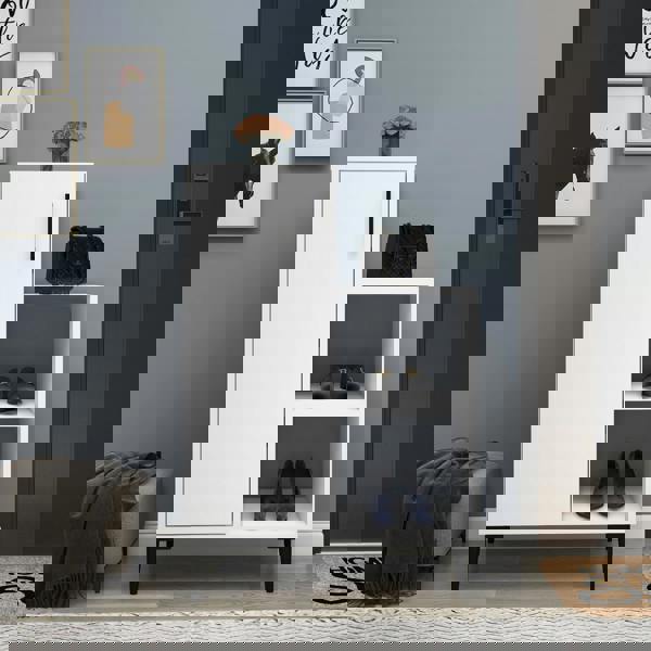 Destina Home Reysary Shoe Storage Shelf with Cabinet