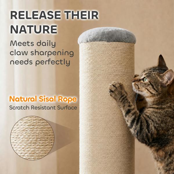 Cat Scratching Post