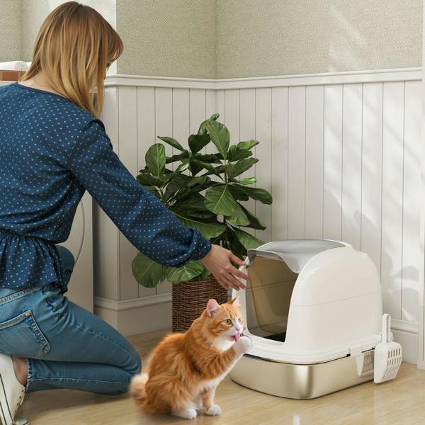 Cat Litter Box