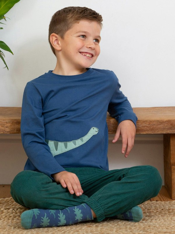 Kite Boys Organic Dippy Dino T-Shirt