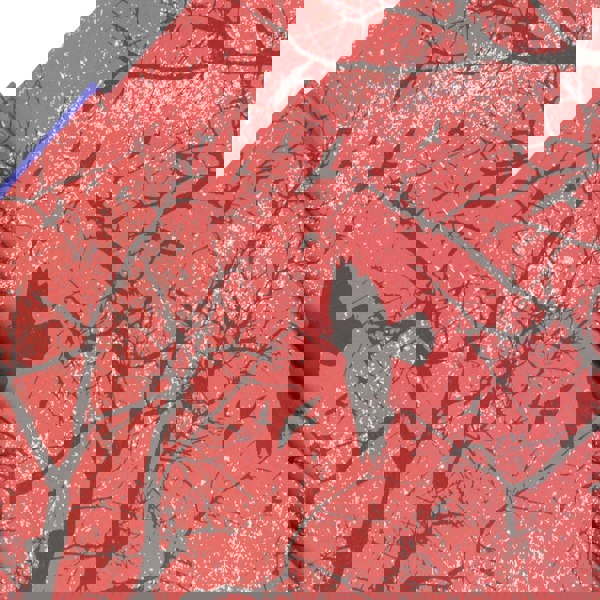 The Complete Tales & Poems of Edgar Allan Poe (Leather-bound)