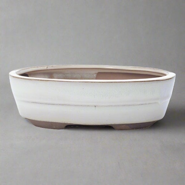 Yorkshire Bonsai 20cm Glazed Bonsai Pot | Oval | 20cm x 17cm x 5cm | White