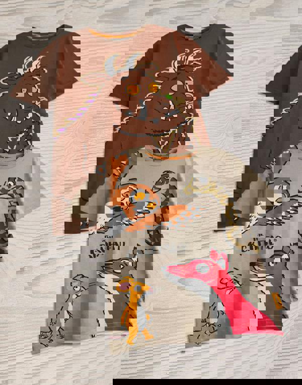 Gruffalo & Friends Boys Brown Big Character Short Sleeved T-Shirt