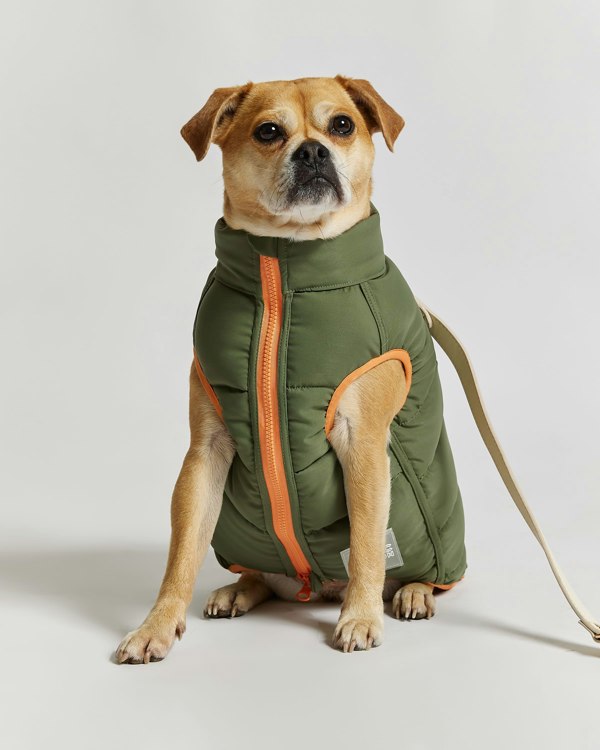 Barc London Reversible Dog Puffer Jacket - Coral & Khaki Green