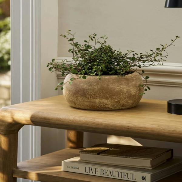 Antique Terracotta Plant Bowl in a rustic brown finish, styled with a trailing green indoor plant on a light oak console table.