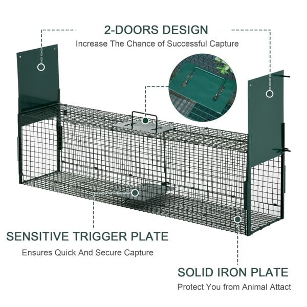 Animal Trap