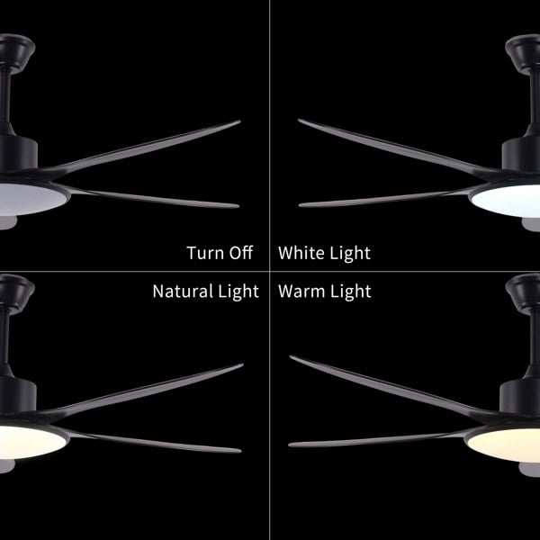 Lightsin Ceiling Fan with Light Low-Noise 5-Blade Fan Light with Adjustable Speeds and Timer Lightsin UK 