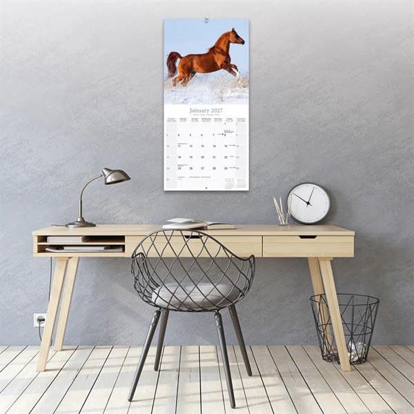 Arabian Horses Calendar 2027, Wall Calendars, Month To View, Animals, Gift