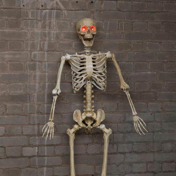 Samuel Alexander 5ft (1.5m) Battery Powered Light up Halloween Skeleton with Poseable Joints & Red LEDs