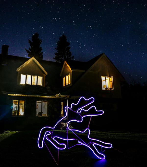 Jumping Reindeer Blue LED Rope Light Silhouette for Indoor and Outdoor Christmas Displays image 4