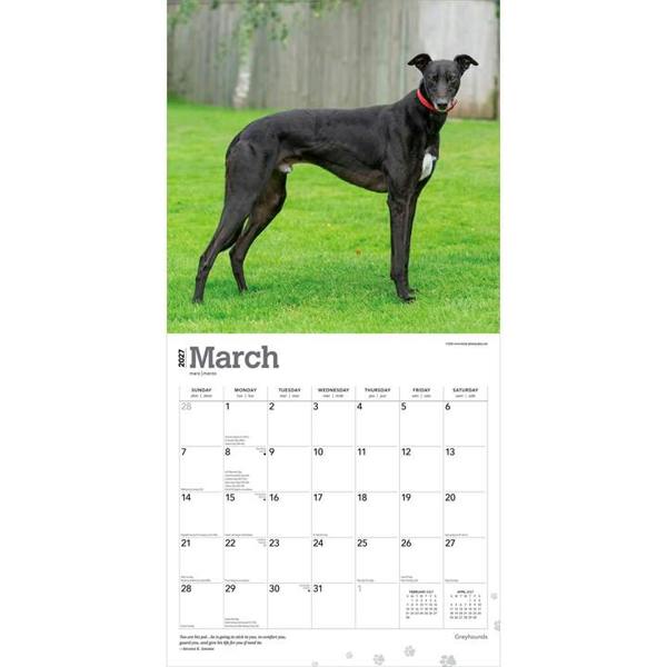 Greyhounds Calendar 2027, Wall Calendars, Month To View, Dogs, Gift