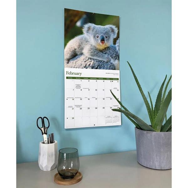 Baby Animals Calendar 2027, Wall Calendars, Month To View, Animals, Gift