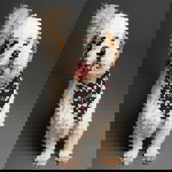 Personalised Memento Company Personalised Santa Black Dog Bandana