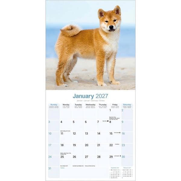 Shiba Inu Calendar 2027, Wall Calendars, Month To View, Dogs, Gift