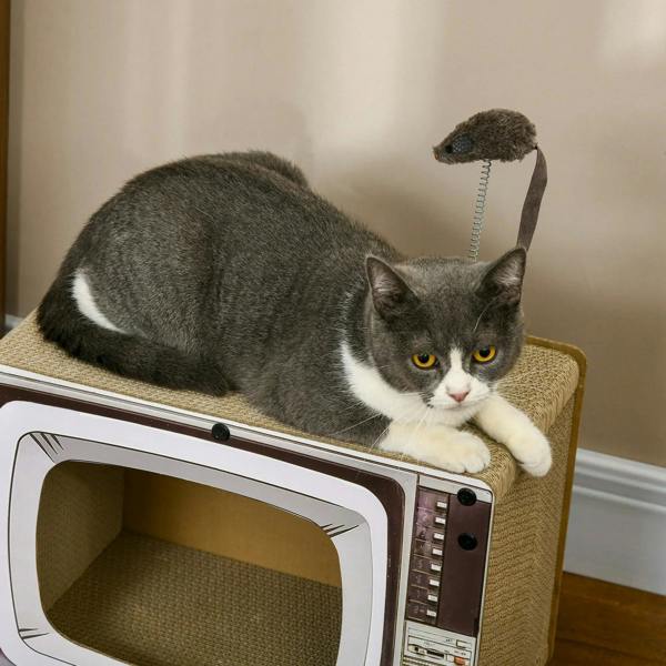 TV-shaped cat scratching board with front window and cat resting on the top