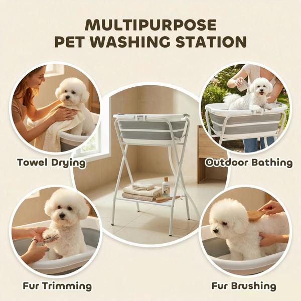 Pet Swimming Pool