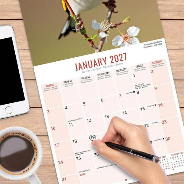 Garden Birds Calendar 2027, Wall Calendars, Month To View, Animals, Gift