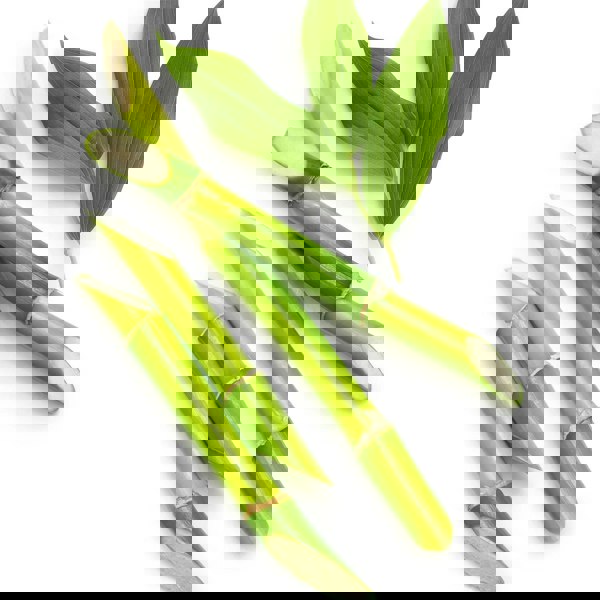 L'Anza Healing Volume Shampoo 300ml