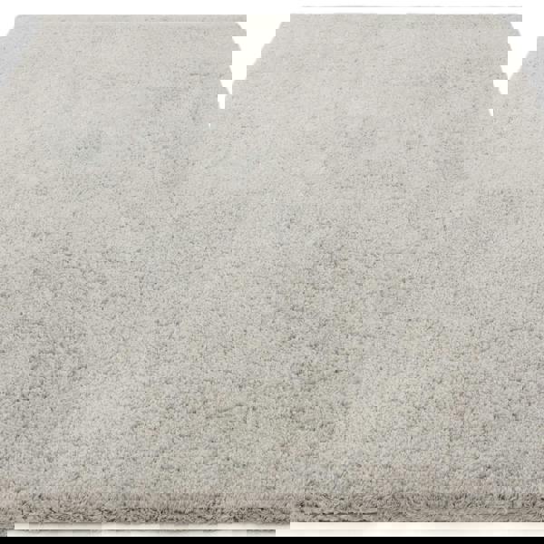 Asiatic Opulence Shaggy Silver Rug