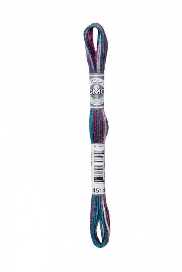 4514 Venise | Multicoloured