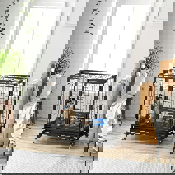 D02-191V00BK