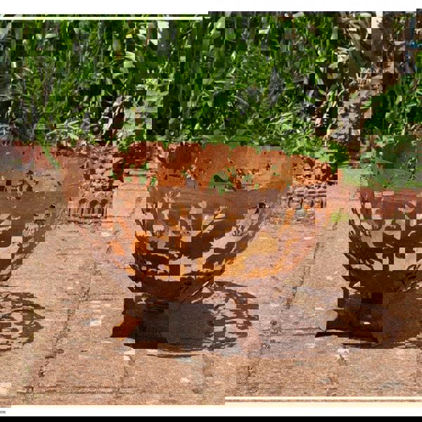 Rust Effect Half Globe Garden Fire Pit with Forest Tree Design – 58cm The Garden Furniture Shop