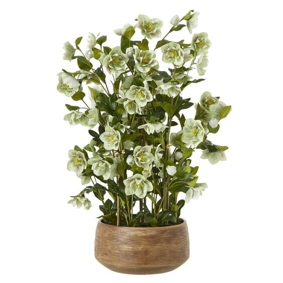 Wyld Haus Artificial Plant Large Green Hellebore in Brown Ceramic Pot