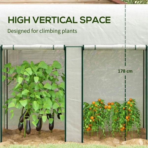 White greenhouse with green frame and mesh walls, showing climbing plants inside
