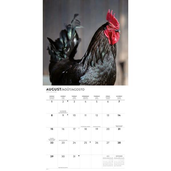 Chickens Calendar 2027, Wall Calendars, Month To View, Animals, Gift