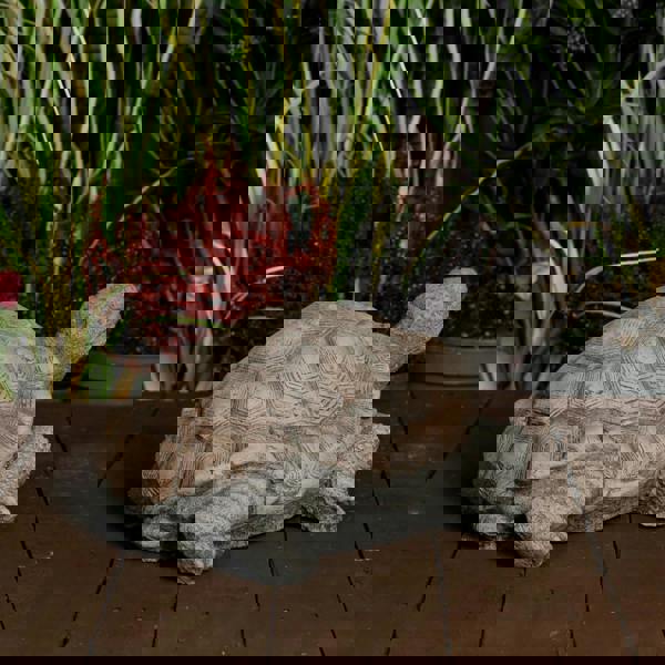 Medium Stone Cast Tortoise Garden Ornament 