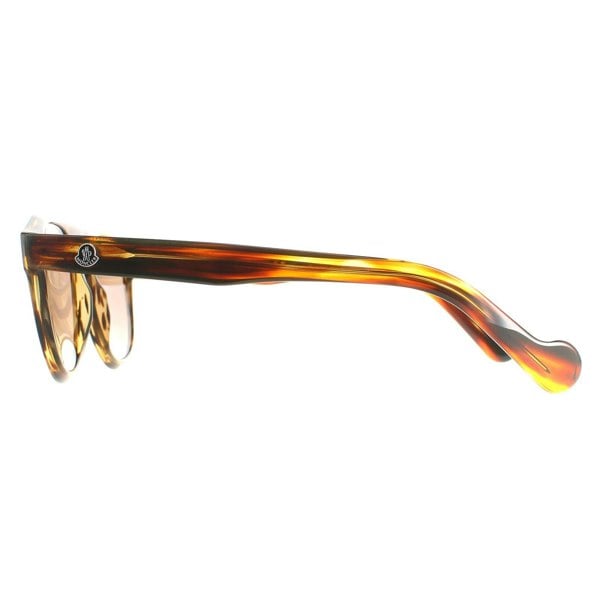 Moncler Sunglasses ML0073 50E Dark Brown Brown