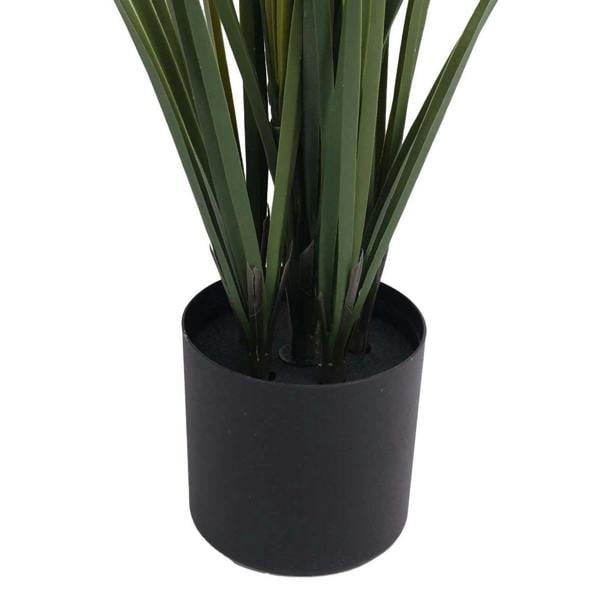 Pampas Grass Plant UV Protected - 90cm