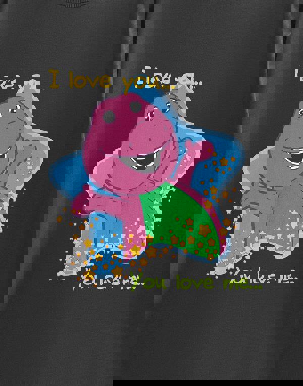 Barney Womens Grey I love you you love me Short Sleeved T-Shirt