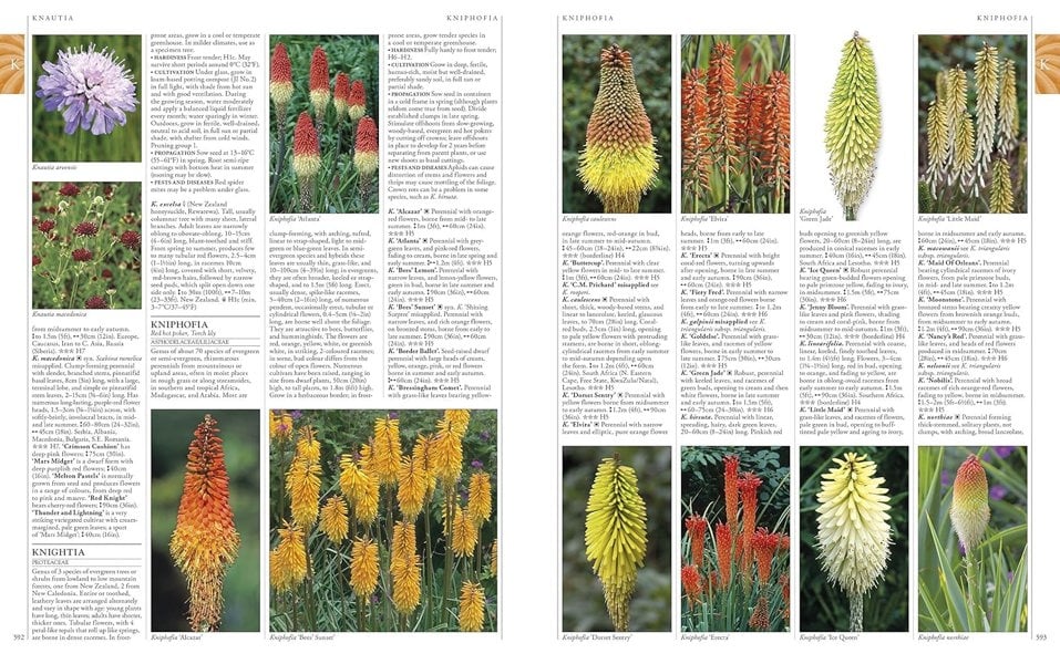 RHS A-Z Encyclopedia of Garden Plants 4th edition: (New Edition)