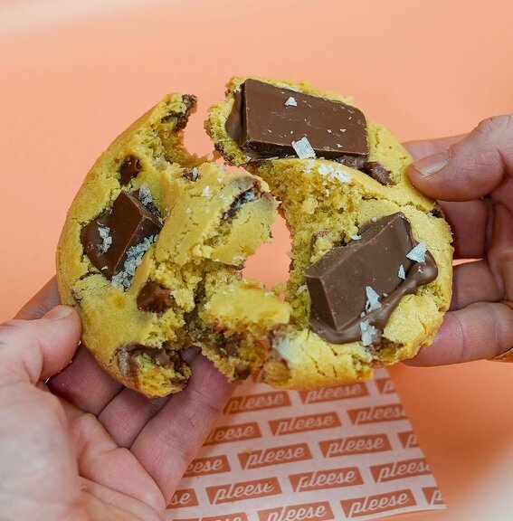 Pleese Milk Chocolate & Sea Salt Cookie