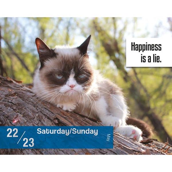Unbranded Grumpy Cat Desk Calendar 2027, Desk Calendars, Day To View, Humour, Gift