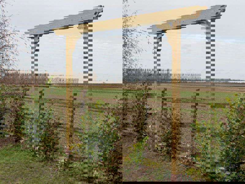 Arbor Garden Solutions Screen Double Beam Pergola, Plant Climbing Arbour - Sculpted Brace