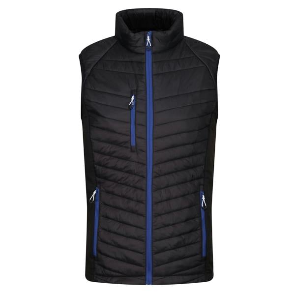 Regatta Professional Mens Quilted Hybrid Gilet - Black/New Royal