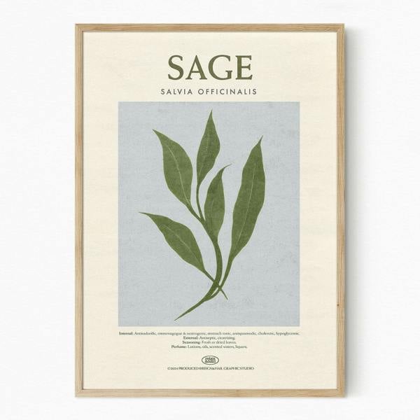 Reign&Hail Sage - Herb Print