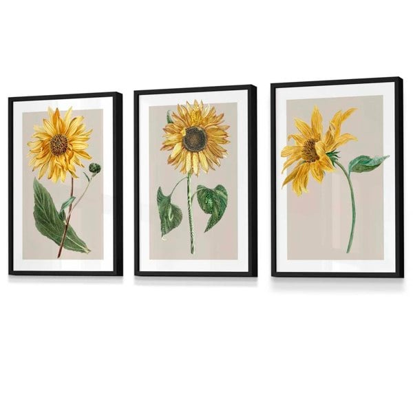 Artze Wall Art Vintage Yellow Sunflowers Set of 3 Framed Prints