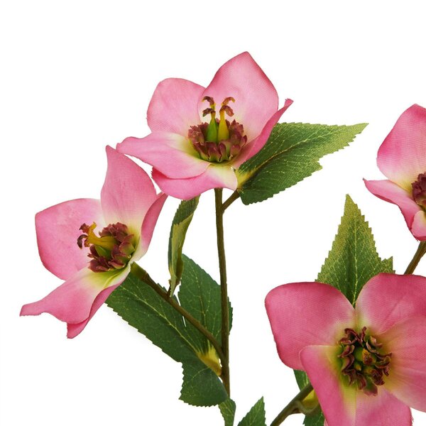 Wyld Haus Set of 3 Artificial Flowers Pink Variegated Hellebore Stem